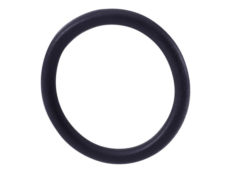 0734.313.125 O-Ring | ZF